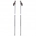 Трекінгові палиці Insportline Vilarica чорно-сірі, код: 13157-IN