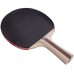 Ракетка для настольного тенниса PlayGame Champion, код: MT-8387