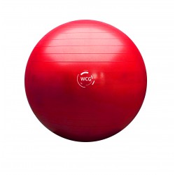 М"яч для фітнесу (фітбол) WCG 75 Anti-Burst 300кг, рожевий, код: W-000-75-IF