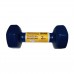 Гантель вінілова SNS 1х2 кг, синій, код: 12337-SNS