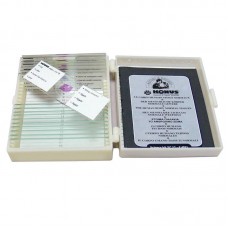 Набір мікропрепаратів Konus Здорові тканини людського тіла, частина I (10 шт.), код: 4910-LH Набір мікропрепаратів Konus Здорові тканини людського тіла, частина I (10 шт.), код: 4910-LH