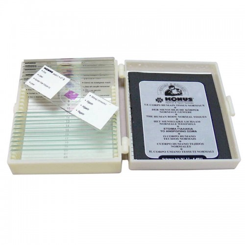 Набір мікропрепаратів Konus Здорові тканини людського тіла, частина I (10 шт.), код: 4910-LH Набір мікропрепаратів Konus Здорові тканини людського тіла, частина I (10 шт.), код: 4910-LH
