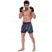 Шорти для тайського боксу та кікбоксингу Fairtex XL Black/Mint, код: BS1902_XLBKM