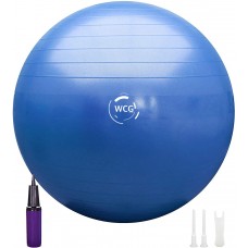 М"яч для фітнесу (фітбол) WCG Anti-Burst 65 см + насос, блакитний, код: W-000-65b-IF М"яч для фітнесу (фітбол) WCG Anti-Burst 65 см + насос, блакитний, код: W-000-65b-IF
