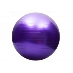 М"яч для фітнесу EasyFit 75 см фіолетовий, код: EF-3008-V-EF
