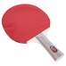 Набор для настольного тенниса PlayGame Boli Star , код: MT-9005