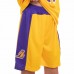 Форма баскетбольна підліткова NB-Sport NBA Lakers 2XL, жовтий-фіолетовий, код: BA-0563_2XLYV