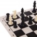 Шахматные фигуры пластиковые ChessTour, код: P401