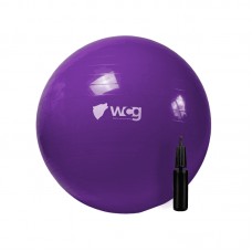 М"яч для фітнесу (фітбол) WCG Anti-Burst + насос 650 мм, фіолетовий, код: W-000-65-P-IF