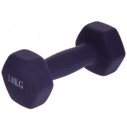 Гантелі для фітнесу BioGym Веселка з неопреновим покриттям 1x3 кг фіолетовий, код: TA-0001-3_V-S52 Гантелі для фітнесу BioGym Веселка з неопреновим покриттям 1x3 кг фіолетовий, код: TA-0001-3_V-S52