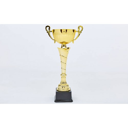 Кубок спортивний з ручками PlayGame Feast 37 см, код: C-2060A