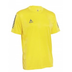 Футболка для матчів чоловіча Select Pisa Player Shirt s/s M, жовтий-синій, код: 5703543228058