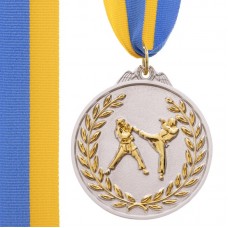 Медаль спортивна зі стрічкою PlayGame Єдиноборства срібна, код: C-4853_S