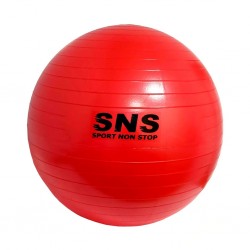 М"яч для фітнесу SNS FB-55 550мм, червоний, код: 22013-SNS