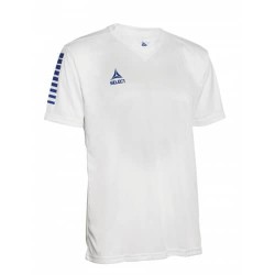 Футболка для матчів чоловіча Select Pisa Player Shirt s/s S, білий-синій, код: 5703543227495