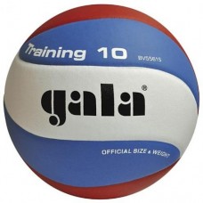 М"яч волейбольний Gala Training, код: BV5561SB