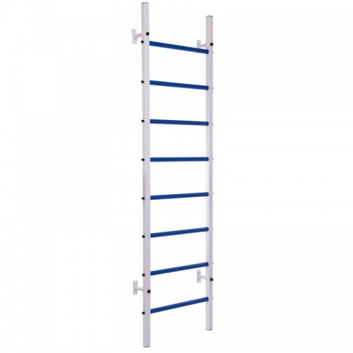 Шведська стінка-стійка BioGym Тонус 4 білий, код: L-2403-S52