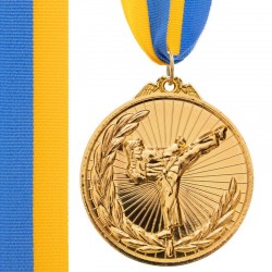 Медаль спортивна зі стрічкою PlayGame Карате золота, код: C-7016_G