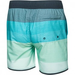 Плавки-шорти для чоловіків Aqua Speed Nolan XL (48-50), сірий-м"ятний, код: 5908217675453