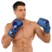 Боксерські рукавиці шкіряні Fistrage 12oz, синій, код: VL-4279_12BL