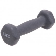 Гантель для фітнесу FitGo Веселка 1x0,5 кг, сірий, код: TA-0001-0_5_GR-S52 Гантель для фітнесу FitGo Веселка 1x0,5 кг, сірий, код: TA-0001-0_5_GR-S52