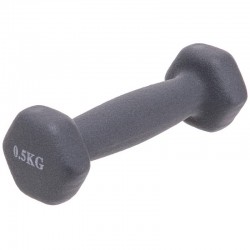 Гантель для фітнесу FitGo Веселка 1x0,5 кг, сірий, код: TA-0001-0_5_GR-S52 Гантель для фітнесу FitGo Веселка 1x0,5 кг, сірий, код: TA-0001-0_5_GR-S52