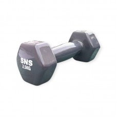Гантель вінілова SNS 1х2,5 кг, сірий, код: 28214-SNS