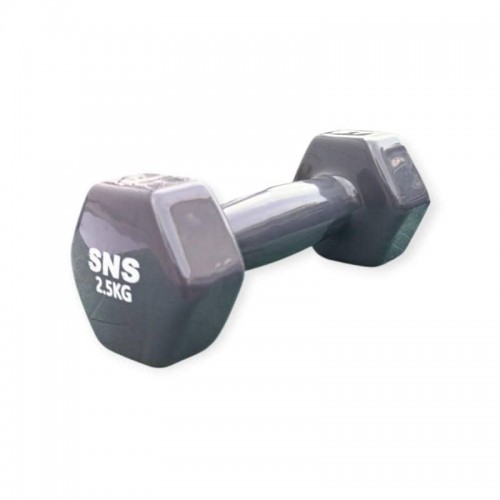 Гантель вінілова SNS 1х2,5 кг, сірий, код: 28214-SNS