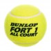 М"ячі для великого тенісу Duplon Fort Tournament Select 3шт, салатовий, код: DL601315-S52