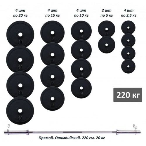 Штанга олімпійська RN-Sport 220 кг з прогумованими металевими дисками, код: RN_OB220