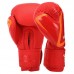 Боксерські рукавиці шкіряні Fistrage 14oz, червоний, код: VL-4279_14R