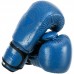 Боксерські рукавиці шкіряні Fistrage 10 унцій, синій, код: VL-5543_10BL