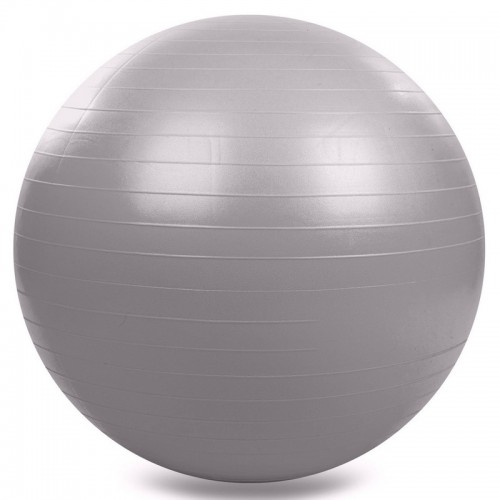 М"яч для фітнесу FitGo 650 мм сірий, код: FI-1980-65_GR