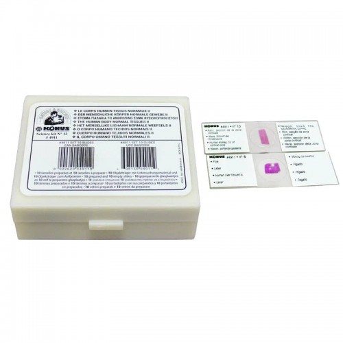 Набір слайдів Konus Здорові тканини людського тіла, частина II (10шт.), код: 4911-DB Набір слайдів Konus Здорові тканини людського тіла, частина II (10шт.), код: 4911-DB