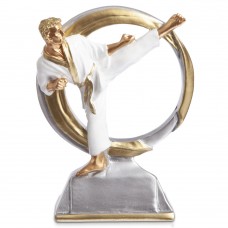 Статуетка нагородна спортивна PlayGame Карате, код: HX5136-B16