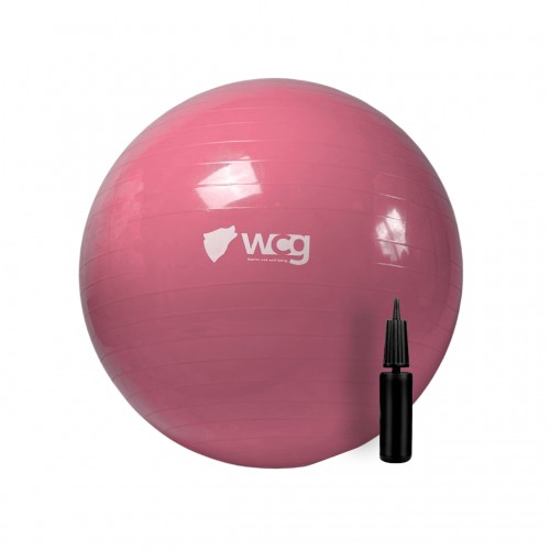М"яч для фітнесу (фітбол) WCG 65 Anti-Burst 250кг + насос, персиковий, код: W-000-65-Pe-IF