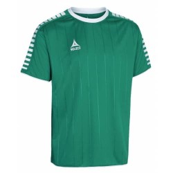 Футболка чоловіча Select Argentina Player Shirt s/s XL, зелений, код: 5703543169207