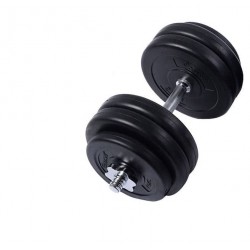 Гантель WCG 1х28 кг з металевим грифом, код: 01028M-IF Гантель WCG 1х28 кг з металевим грифом, код: 01028M-IF