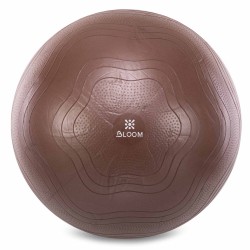 Фітбол м"яч для фітнесу сатин Bloom ø65см, коричневий, код: LB7051-65 Фітбол м"яч для фітнесу сатин Bloom ø65см, коричневий, код: LB7051-65