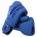 Боксерські рукавиці Fistrage 12 унцій, синій, код: VL-4276_12BL