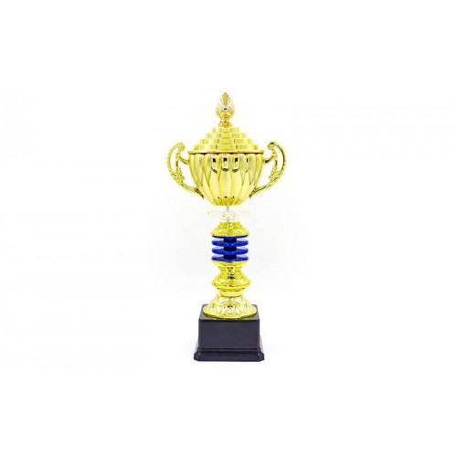 Кубок спортивний з ручками і кришкою PlayGame Impulse 35 см, код: C-141A
