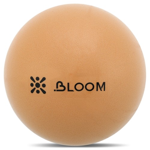 М"яч для пілатесу та йоги Mini Pilates Ball Bloom 20 см, коричневий, код: LB7000-20_BR