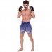 Шорти для тайського боксу та кікбоксингу Fairtex XL Black/Blue, код: BS1905_XLBL