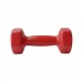 Гантель вінілова SNS 1х3 кг, червоний, код: 12346-SNS