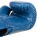 Боксерські рукавиці шкіряні Fistrage 10 унцій, синій, код: VL-5561_10BL