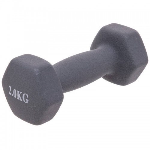 Гантелі FitGo 1х2 кг сірий, код: TA-0001-2_GR Гантелі FitGo 1х2 кг сірий, код: TA-0001-2_GR