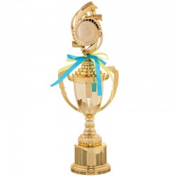 Кубок спортивний з ручками та кришкою PlayGame Chic висота 39см, золотий, код: C-8972C-S52