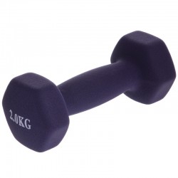 Гантелі для фітнесу FitGo 1x2кг фіолетовий, код: TA-0001-2_V-S52 Гантелі для фітнесу FitGo 1x2кг фіолетовий, код: TA-0001-2_V-S52