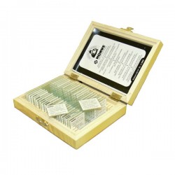 Набір слайдів Konus Ботаніка: Мохи, папоротеві, голонасінні (25 шт.), код: 4983-DB Набір слайдів Konus Ботаніка: Мохи, папоротеві, голонасінні (25 шт.), код: 4983-DB