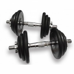 Гантелі набірні Fitnessport DB-02-31 кг, 2х15,5 кг, код: 10110-AX